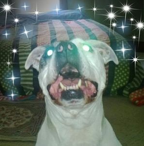 Meet your Posher, Jeff